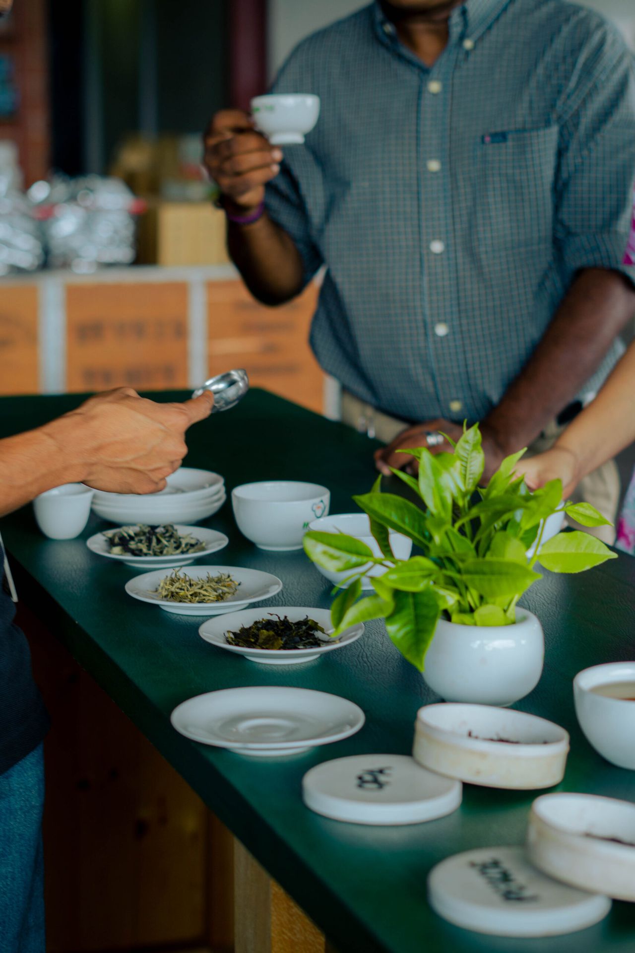 Tea Tasting Table at 98 Acres Resort and Spa