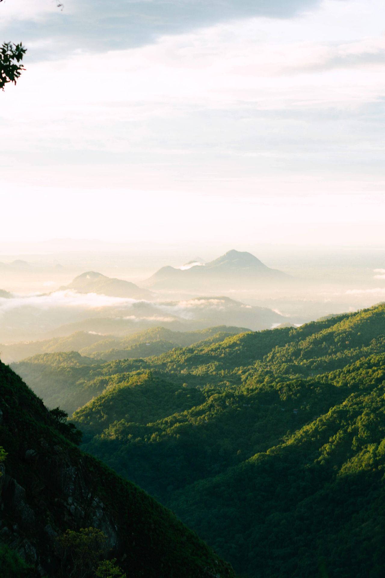 Erial View of the Mountains