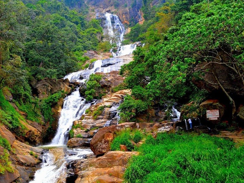 Waterfall Surrounded by Greenery