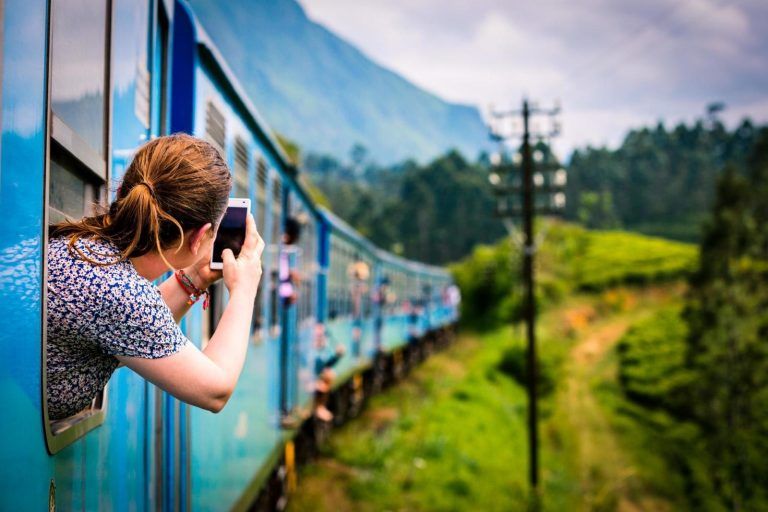 Train Ride Through Plantations